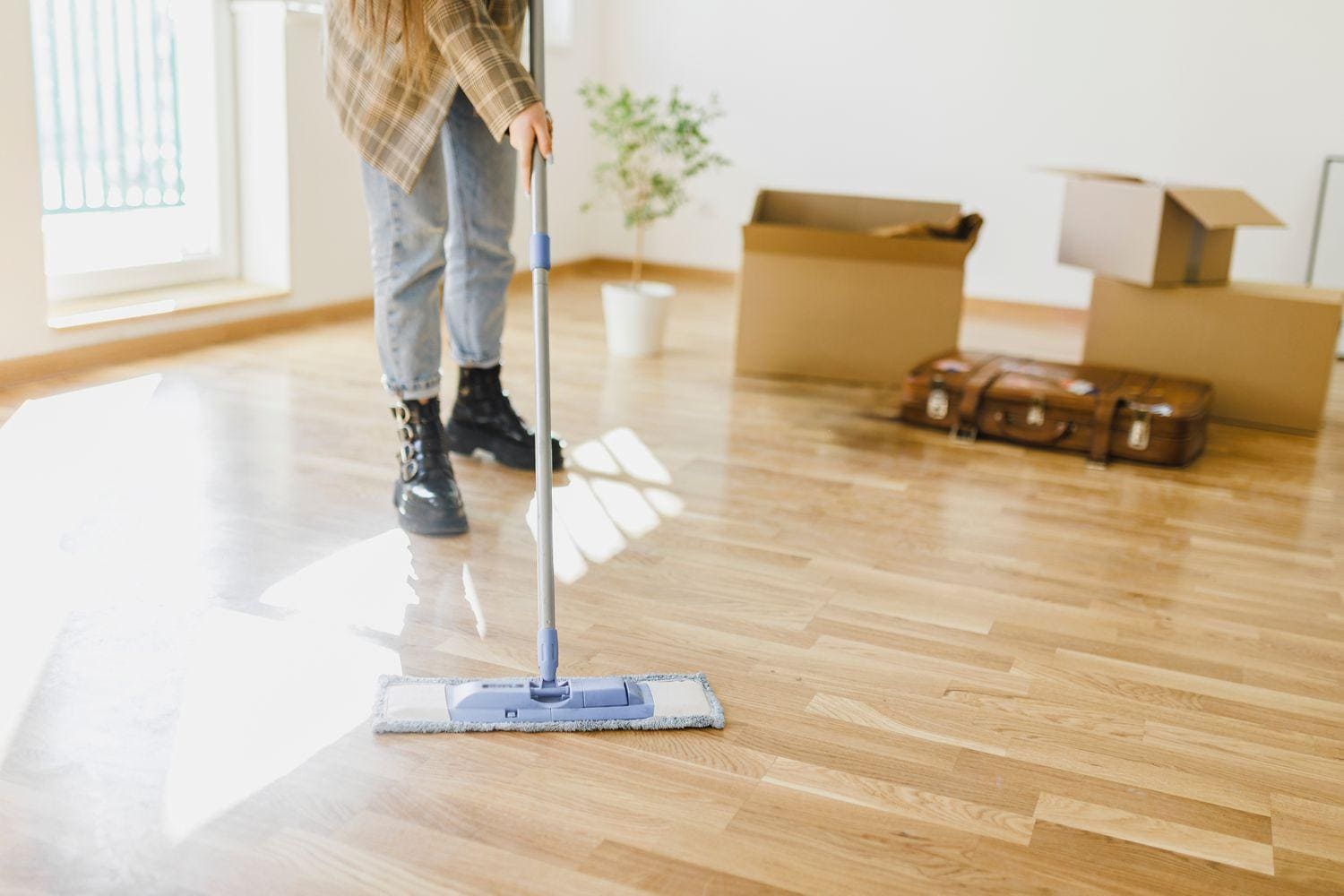 Move In/Out Cleaning Service
